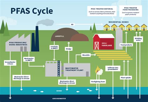 pfas testing cost